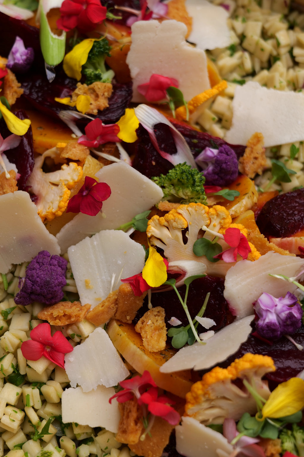 Salade hivernale (crozet & tataki de patate douce) VG